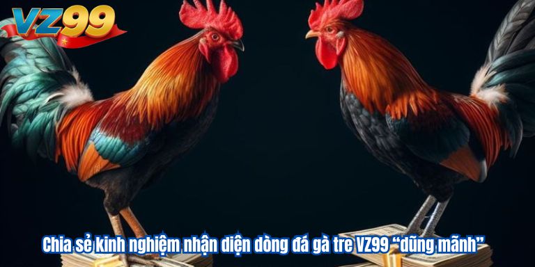 Đá Gà Tre VZ99 | Chia Sẻ Kinh Nghiệm Dành Cho Kê Thủ 3 Chia sẻ kinh nghiệm nhận diện dòng đá gà tre VZ99 “dũng mãnh”