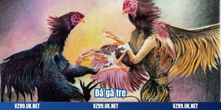Đá gà tre