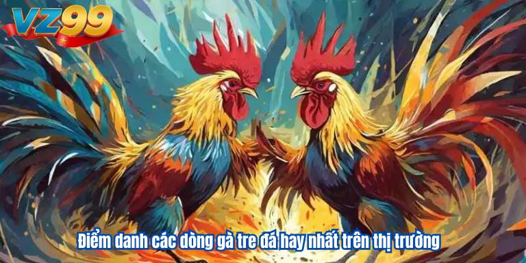 Đá Gà Tre VZ99 | Chia Sẻ Kinh Nghiệm Dành Cho Kê Thủ 2 Điểm danh các dòng gà tre đá hay nhất trên thị trường