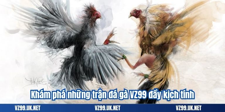 Khám phá những trận đá gà VZ99 đầy kịch tính