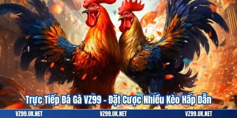 Trực Tiếp Đá Gà VZ99 – Đặt Cược Nhiều Kèo Hấp Dẫn