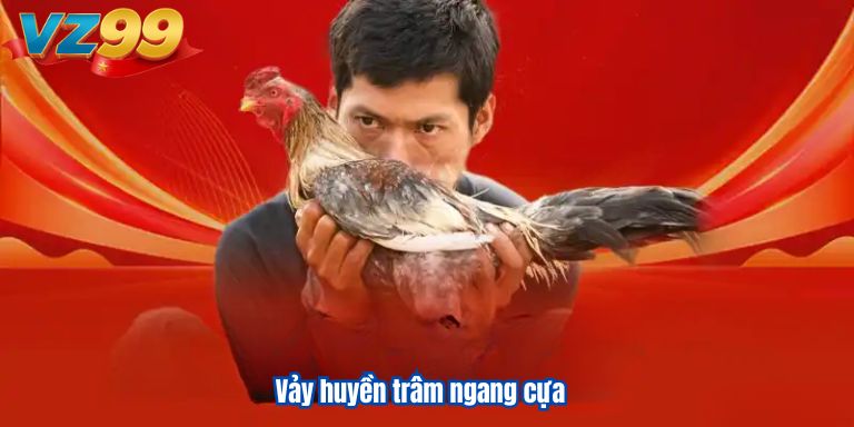 Vảy Gà Huyền Trâm VZ99 – Tiếng Vang Bất Tử 3 Vảy huyền trâm ngang cựa