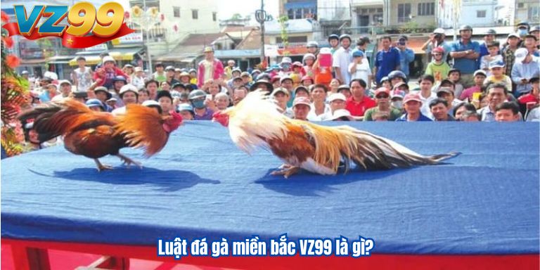 Luật đá gà miền bắc VZ99 cho anh em bet thủ 2 Luật đá gà miền bắc VZ99 là gì?