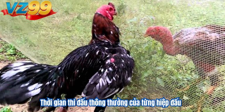 Luật đá gà miền bắc VZ99 cho anh em bet thủ 3 Thời gian thi đấu thông thường của từng hiệp đấu