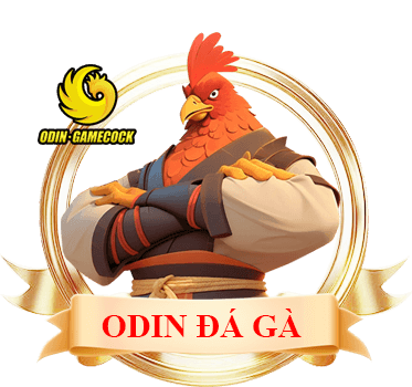 odin đá gà